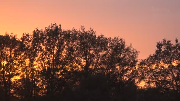 Hermoso Cielo Colorido Atardecer — Vídeo de stock