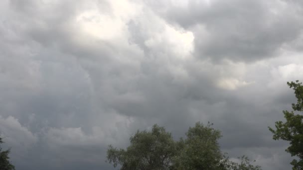 Images Panoramiques Nuages Orageux Dessus Arbres Verts — Video