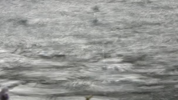 Imagens Cênicas Superfície Água Lagoa Sob Chuva Baixa Taxa Quadros — Vídeo de Stock