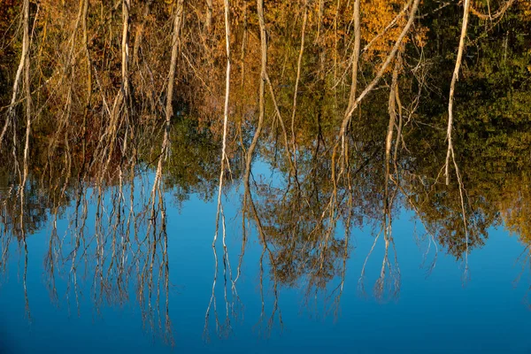 Reflexion der Laubwälder und des Himmels im Wasser der — Stockfoto