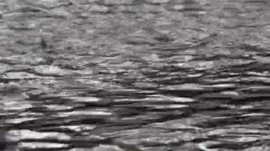 yağmur altında gölet su yüzeyinin doğal görüntüleri