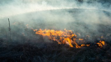 duman ve ateş, yamaç üzerinde kuru ot yanan. Köylü, genç otların hayvanları beslemek için yetişmelerini için kuru otları ateşe verdiler. Kırsal kesimde erken bahar.