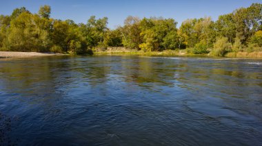 Güneşli bir günde sonbahar yaprak döken orman ve nehir. İnanılmaz bir manzara. Ukrayna. Avrupa.