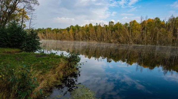 Güneşli bir günde sonbahar yaprak döken orman, su nehri ve nehir kıyısında. İnanılmaz bir manzara. Ukrayna. Avrupa.