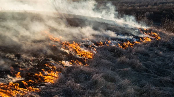 smoke and fire, burning dry grass on the hillside. Villager they set fire to dry grass so that young grass would grow to feed animals. Early spring in the countryside.