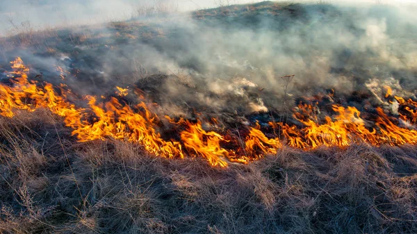 smoke and fire, burning dry grass on the hillside. Villager they set fire to dry grass so that young grass would grow to feed animals. Early spring in the countryside.