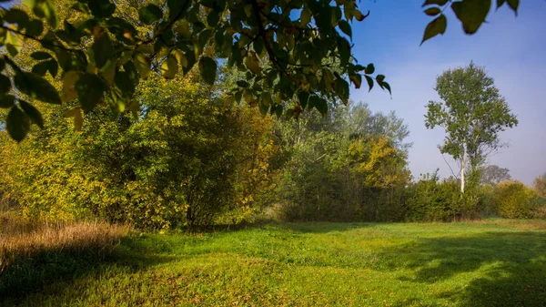Kırsal bir çayır üzerinde Sabah sonbahar manzara. İnanılmaz güzel manzara. Ukrayna. Avrupa.