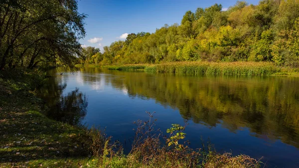 Осінній Листопадний Ліс Річкова Вода Річковий Берег Сонячний День Дивовижний — стокове фото