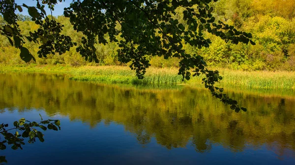 Güneşli bir günde sonbahar yaprak döken orman, su nehri ve nehir kıyısında. İnanılmaz bir manzara. Ukrayna. Avrupa.