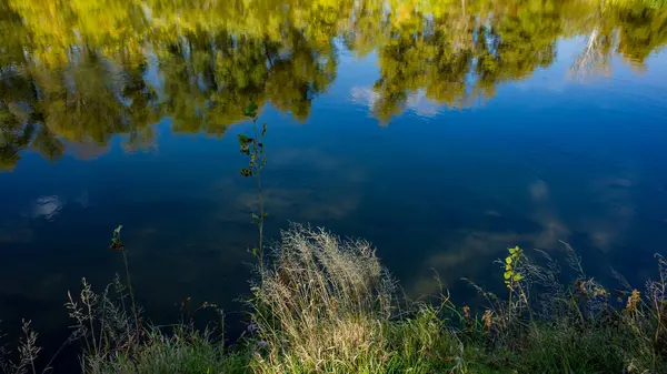 Laubwald Wasserlauf Und Flussufer Einem Sonnigen Tag Erstaunliche Landschaft Ukrainisch — Stockfoto