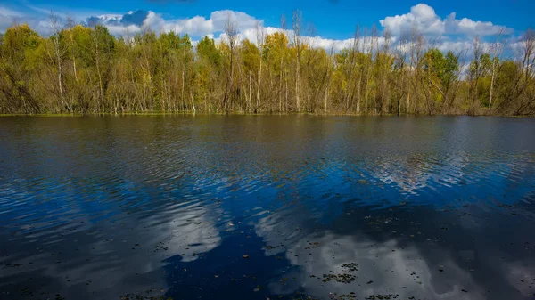 Laubwald Wasserlauf Und Flussufer Einem Sonnigen Tag Erstaunliche Landschaft Ukrainisch — Stockfoto