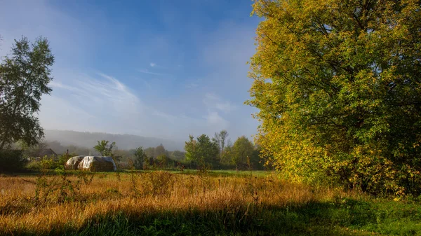 Morgon Höstlandskap Äng Landsbygden Fantastiskt Vackert Landskap Ukraina Europa — Stockfoto