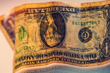Buruşmuş bir Amerikan doları kağıt para gri arka planda yatıyor. İş konsepti.