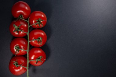 Kırmızı domatesli dal siyah arka planda yatar. Web pankartı. 