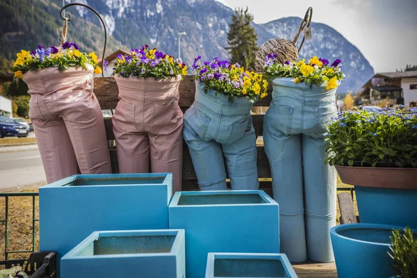 Creative flower pots made of trousers planted with yellow and violet pansies flowers with mountains background.