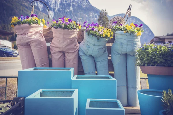 Pots Fleurs Créatifs Faits Pantalons Plantés Fleurs Culottes Jaunes Violettes — Photo