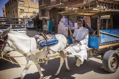 Geleneksel kıyafetlerle sürme sepeti, Siwa oasis, Mısır Arap yaşlı eşek arabası