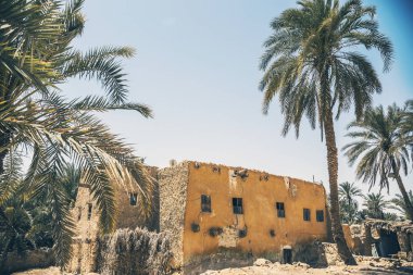 Siwa vahasındaki geleneksel Mısır evi. Uzak köy evi.
