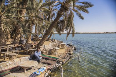 Çay ve nargile bar Siwa göl kenarında Arap adam rahatlatıcı Siwa oasis, Mısır gölde yakınındaki alışveriş
