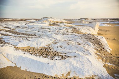 Mısır'daki çöl manzara. Beyaz çöl Mısır (Farafra). Beyaz taşlar ve sarı sands.