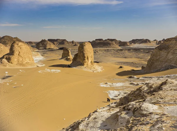 Desert landscape in Egypt. White desert in Egypt (Farafra). White stones and yellow sands.