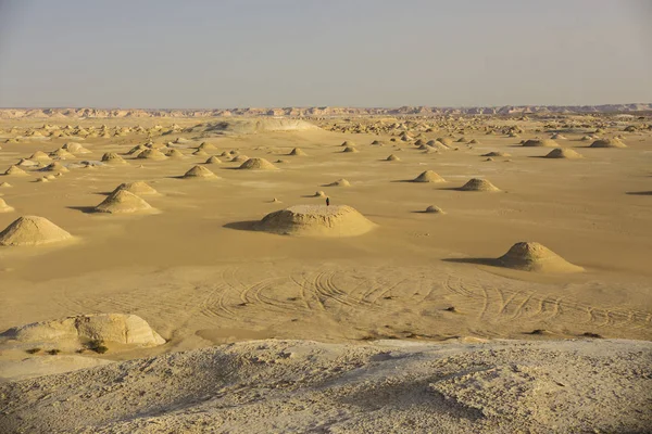 Desert landscape in Egypt. White desert in Egypt (Farafra). White stones and yellow sands.