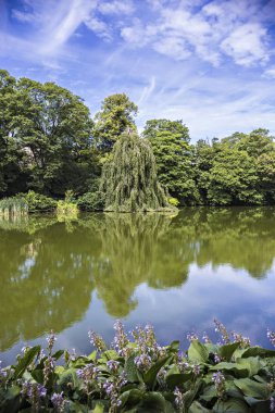 Orstedsparken, Kopenhag Merkez, Denmar genel bir park gölde