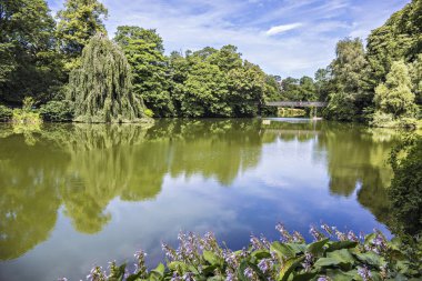 Orstedsparken, Kopenhag Merkez, Denmar genel bir park gölde