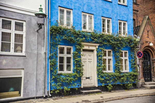 Bella Casa Edera Nel Centro Copenaghen Architettura Tradizionale Danese Danimarca — Foto Stock