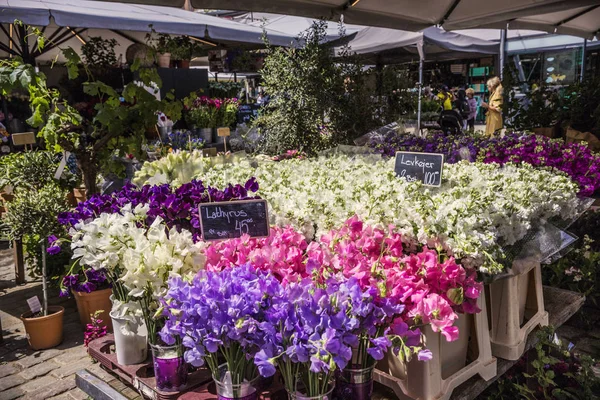 位于丹麦哥本哈根市中心的传统花卉市场 — 图库照片