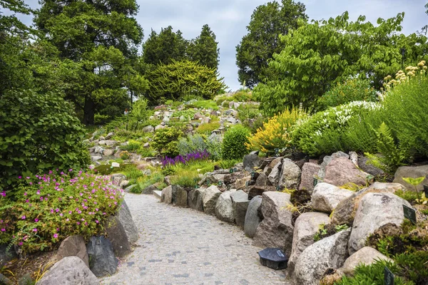 Summer Park Road Green Trees Plants — Stockfoto