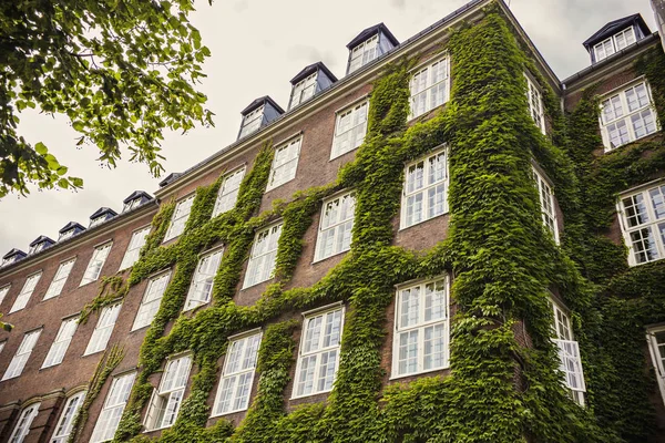 Murgröna Täckta Hus Centrala Köpenhamn Danmark — Stockfoto