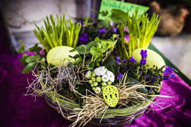 Yumurta ve bahar çiçekli Paskalya sepeti, flora güzeli. 