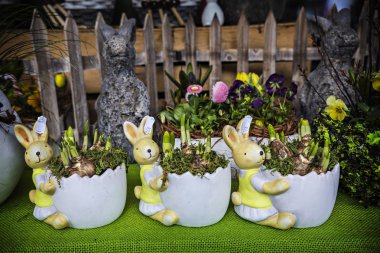 Dekor ev için çeşitli Paskalya dekor elemanları ile mağaza. Vitrin Shop ile Paskalya öznitelikleri, Otztal, Avusturya