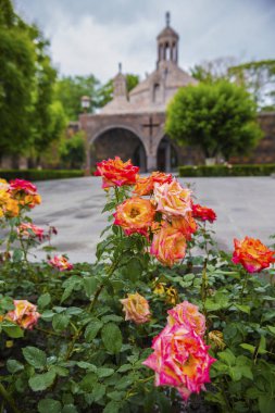 Gül, Echmiadzin Manastırı karmaşık, Ermenistan ile çevrili küçük Şapel