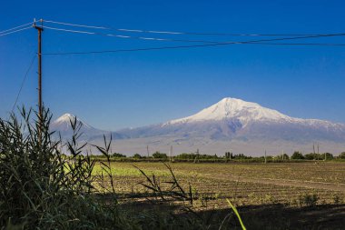Ararat dağına Khor Virap Manastırı karmaşık, Ermenistan görünümünü