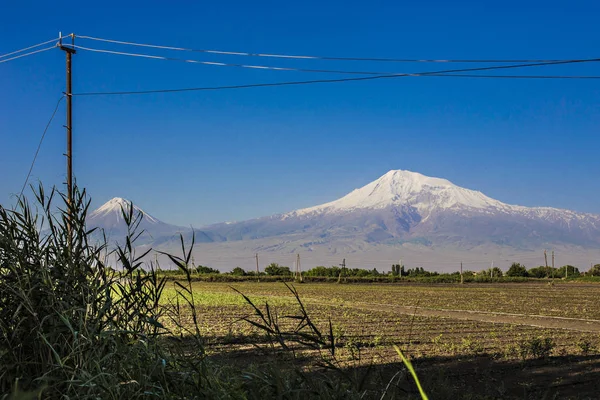 Vista Cortina Ararat Desde Complejo Del Monasterio Khor Virap Armenia — Foto de Stock