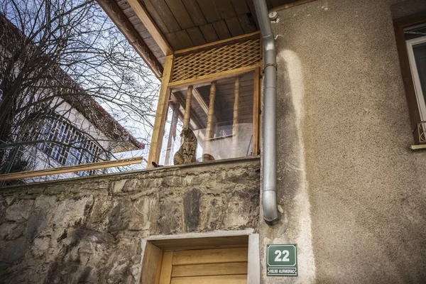 Gato Tabby Balcón Mirando Desde Arriba Lindo Gato Doméstico Ventana — Foto de Stock