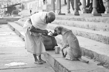 Pushkar, Hindistan - Aralık 2015: Sofu adam besleme evsiz köpeğin yanına Pushkar Gölü kutsal, Hindistan 