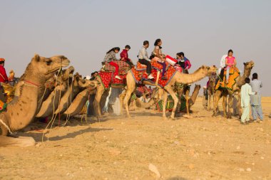 JAISALMER, INDIA - Aralık 2016: Camel 'ler Jaisalmer, Rajasthan, Hindistan' daki Thar çölünde sergileniyor