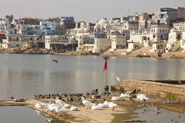 Pushkar India Lago Sagrado Pushkar Rajastán India —  Fotos de Stock