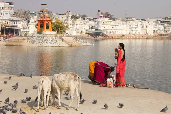 Pushkar India Diciembre 2017 Mujeres Indias Vestidas Con Saris Coloridos —  Fotos de Stock