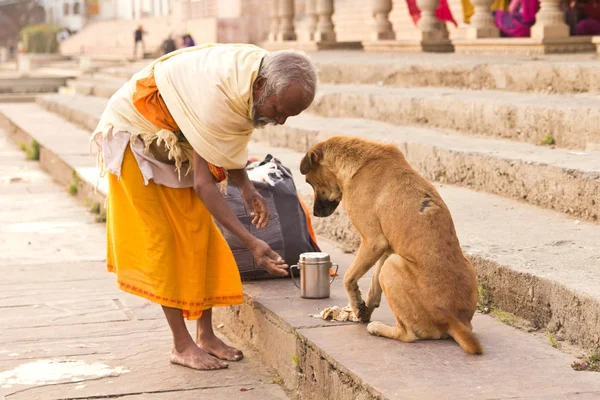 Pushkar India Diciembre 2015 Hombre Asceta Alimentando Perro Sin Hogar — Foto de Stock