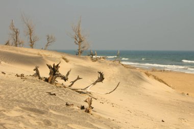 Yarada Sahil Hattı Visakhapatnam, Hindistan
