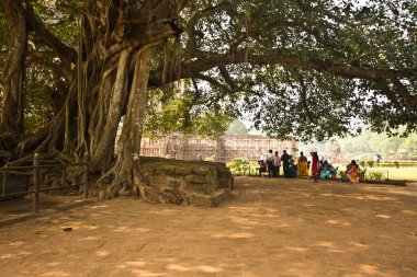 Konark, Hindistan-6 Ocak 2016: Hint insanlar Sun Temple ziyaret (13. yüzyıl, UNESCO Dünya Mirası) Konark, Orissa, Hindistan