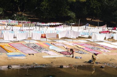 Puri, Hindistan - Ocak, 2016: Çamaşırhane Puri, Orissa, Hindistan Nehri kıyısında