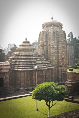 Puri Orissa Hindistan 'daki Shree Jagannath Tapınağı