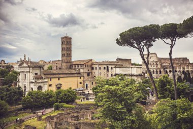 ROME, ITALY - Mayıs 2018: Roma Forumu (Foro Romano) bakış açısı. Antik Roma şehri, İtalya