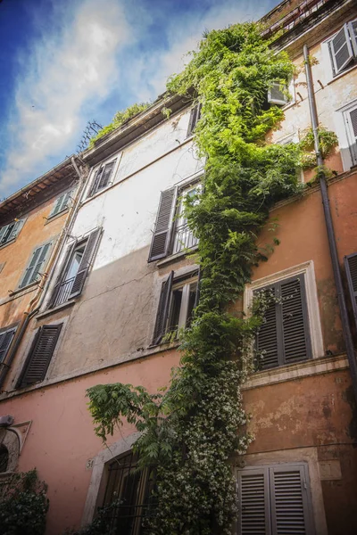 Ivy-covered house in the center of Rome city, Italy. Ivy house background, Rome