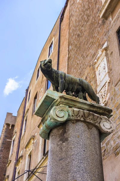 Rom Italien Maj 2018 Kapitolinska Vargen Centrala Rom Brons Skulptur — Stockfoto